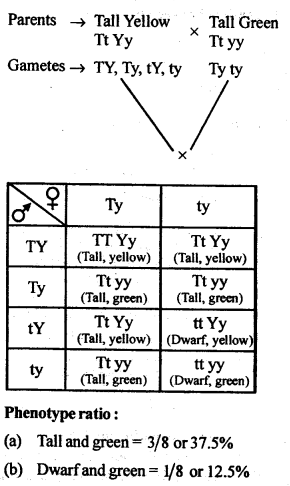 NCERT Solutions For Class 12 Biology Principles of Inheritance and Variation Q7