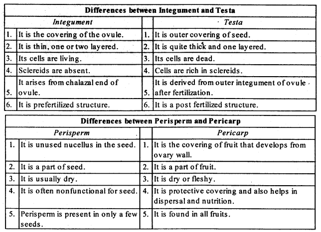 NCERT Solutions For Class 12 Biology Sexual Reproduction in Flowering Plants Q13.1