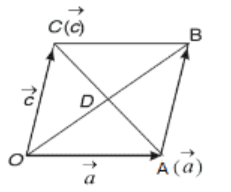 RD Sharma Solutions for Class 12 Maths Chapter 24 - 29