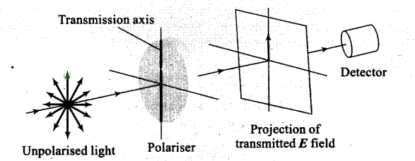 NCERT Exemplar Class 12 Physics Chapter 10 Wave Optics Img 3