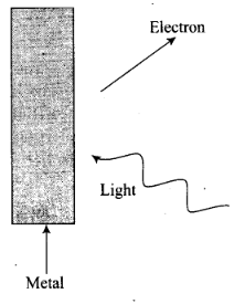 NCERT Exemplar Class 12 Physics Chapter 11 Dual Nature of Radiation and Matter Img 30