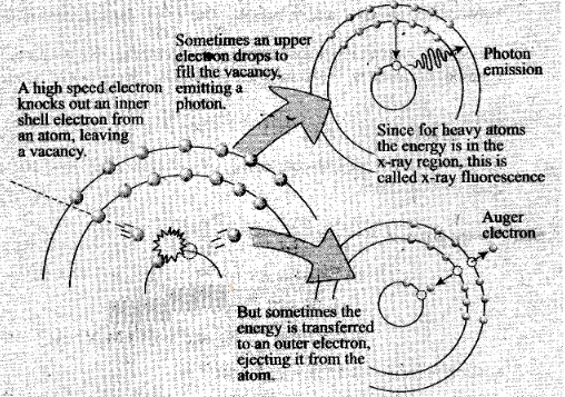 NCERT Exemplar Class 12 Physics Chapter 12 Atoms Img 32