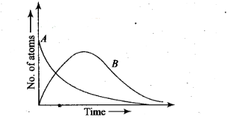 NCERT Exemplar Class 12 Physics Chapter 13 Nuclei Img 18