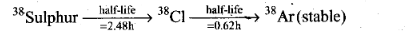 NCERT Exemplar Class 12 Physics Chapter 13 Nuclei Img 23