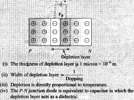 NCERT Exemplar Class 12 Physics Chapter 14 Semiconductor Electronics Materials, Devices and Simple Circuits Img 5