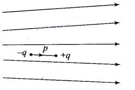 NCERT Exemplar Class 12 Physics Chapter 1 Electric Charges and Fields Img 10