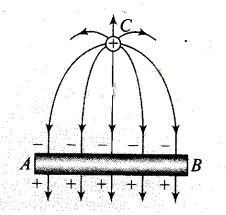 NCERT Exemplar Class 12 Physics Chapter 1 Electric Charges and Fields Img 12