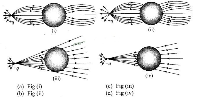 NCERT Exemplar Class 12 Physics Chapter 1 Electric Charges and Fields Img 4