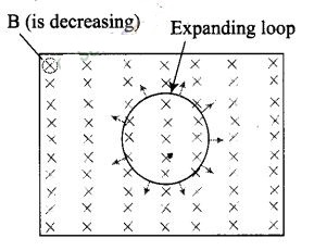 NCERT Exemplar Class 12 Physics Chapter 6 Electromagnetic Induction Img 14