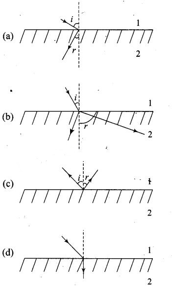 NCERT Exemplar Class 12 Physics Chapter 9 Ray Optics and Optical Instruments Img 10