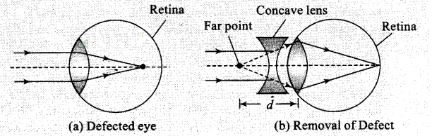 NCERT Exemplar Class 12 Physics Chapter 9 Ray Optics and Optical Instruments Img 40