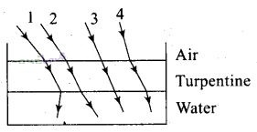 NCERT Exemplar Class 12 Physics Chapter 9 Ray Optics and Optical Instruments Img 8