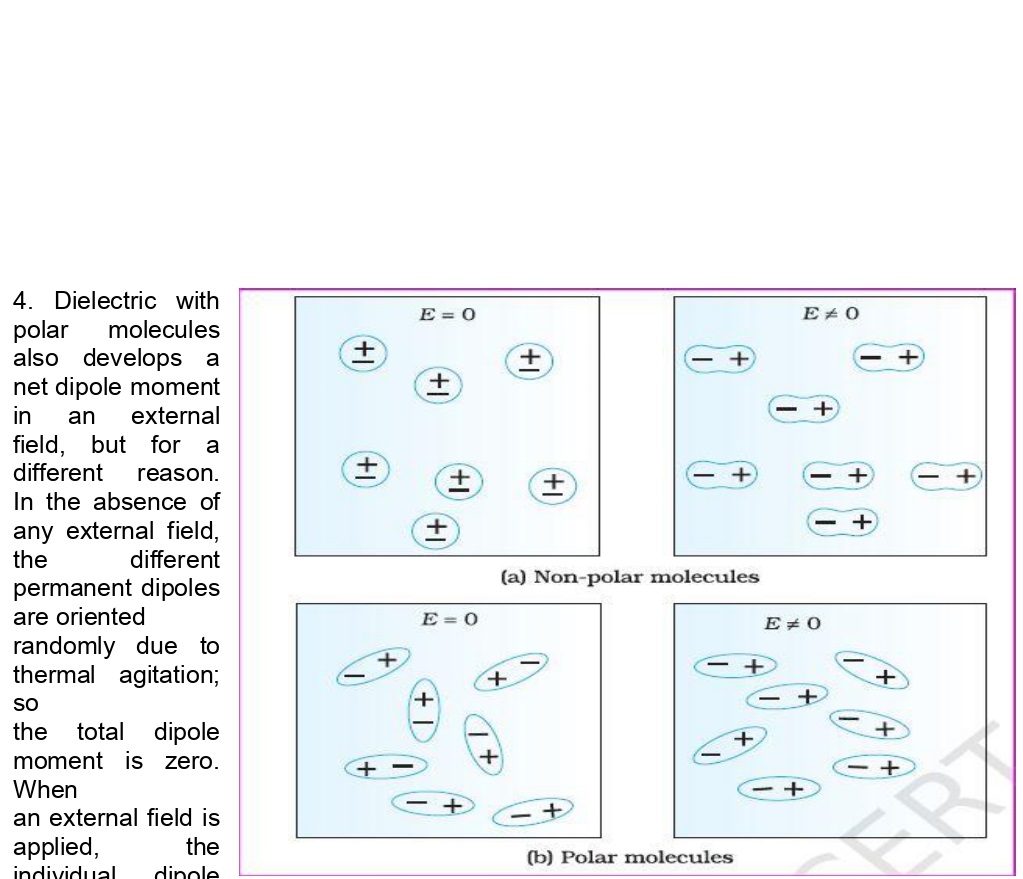 CBSE Class 12 Case Study