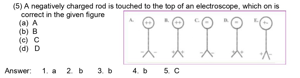 CBSE Class 12 Case Study