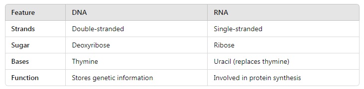 Molecular basis of Inheritance