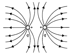 Class 12 Physics Important Questions Chapter 1 Electric Charges and Fields 11