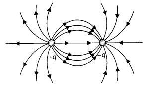 Class 12 Physics Important Questions Chapter 1 Electric Charges and Fields 12