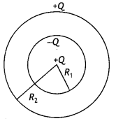 Class 12 Physics Important Questions Chapter 1 Electric Charges and Fields 16