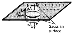 Class 12 Physics Important Questions Chapter 1 Electric Charges and Fields 19