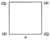 Class 12 Physics Important Questions Chapter 1 Electric Charges and Fields 27