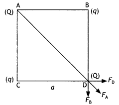 Class 12 Physics Important Questions Chapter 1 Electric Charges and Fields 28