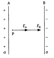 Class 12 Physics Important Questions Chapter 1 Electric Charges and Fields 35