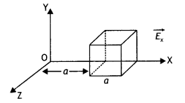 Class 12 Physics Important Questions Chapter 1 Electric Charges and Fields 36