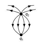 Class 12 Physics Important Questions Chapter 1 Electric Charges and Fields 5