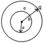 Class 12 Physics Important Questions Chapter 1 Electric Charges and Fields 52