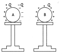 Class 12 Physics Important Questions Chapter 1 Electric Charges and Fields 7