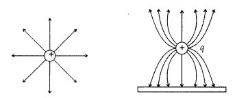 Important Questions for Class 12 Physics Chapter 1 Electric Charges and Fields Class 12 Important Questions 35