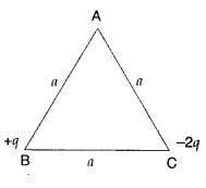 Important Questions for Class 12 Physics Chapter 1 Electric Charges and Fields Class 12 Important Questions 40