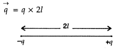 Important Questions for Class 12 Physics Chapter 1 Electric Charges and Fields Class 12 Important Questions 63