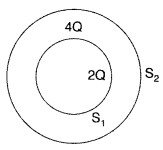 Important Questions for Class 12 Physics Chapter 1 Electric Charges and Fields Class 12 Important Questions 73