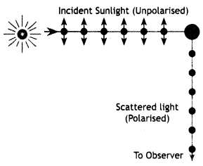 Class 12 Physics Important Questions Chapter 10 Wave Optics 24