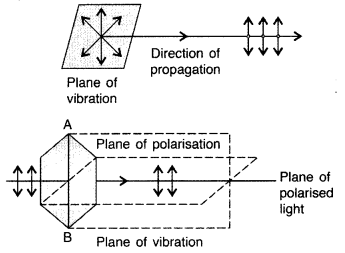 Important Questions for Class 12 Physics Chapter 10 Wave Optics Class 12 Important Questions 119