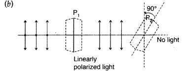 Important Questions for Class 12 Physics Chapter 10 Wave Optics Class 12 Important Questions 130