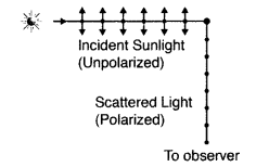 Important Questions for Class 12 Physics Chapter 10 Wave Optics Class 12 Important Questions 131