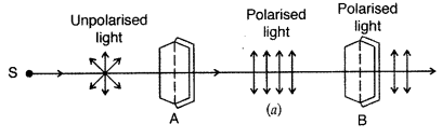 Important Questions for Class 12 Physics Chapter 10 Wave Optics Class 12 Important Questions 56