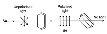 Important Questions for Class 12 Physics Chapter 10 Wave Optics Class 12 Important Questions 57