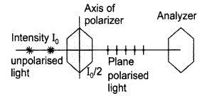 Important Questions for Class 12 Physics Chapter 10 Wave Optics Class 12 Important Questions 65