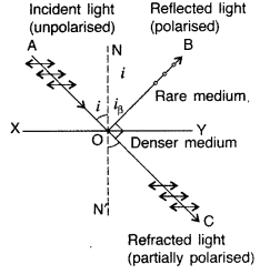 Important Questions for Class 12 Physics Chapter 10 Wave Optics Class 12 Important Questions 72