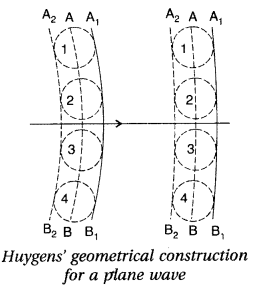 Important Questions for Class 12 Physics Chapter 10 Wave Optics Class 12 Important Questions 82