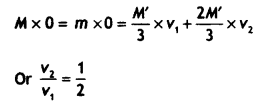 Class 12 Physics Important Questions Chapter 11 Dual Nature of Radiation and Matter 57