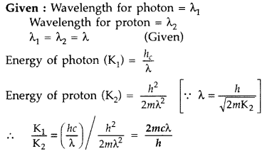 Important Questions for Class 12 Physics Chapter 11 Dual Nature of Radiation and Matter Class 12 Important Questions 42