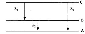 Class 12 Physics Important Questions Chapter 12 Atoms 21