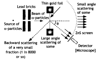 Class 12 Physics Important Questions Chapter 12 Atoms 6