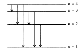 Important Questions for Class 12 Physics Chapter 12 Atoms Class 12 Important Questions 20