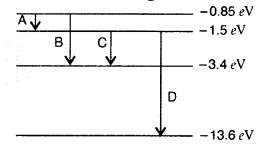 Important Questions for Class 12 Physics Chapter 12 Atoms Class 12 Important Questions 40