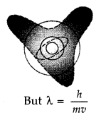 Important Questions for Class 12 Physics Chapter 12 Atoms Class 12 Important Questions 50